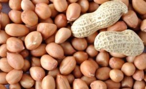 খালি পেটে চিনা বাদাম খাওয়ার উপকারিতা