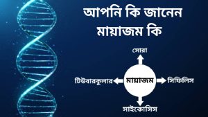 মায়াজম কি